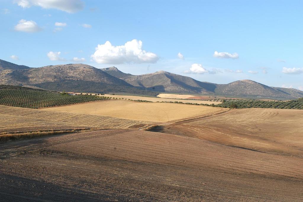 Hotel Cortijo Del Marques Albolote Eksteriør billede